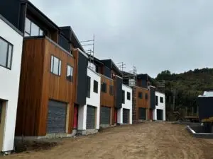 house painters wellington